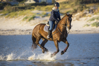 Reitsportfachgeschäft Manski – Ihr Ausstatter für Reiter und Pferd